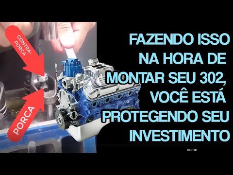 MOTOR FORD V8 302: UMA PORCA DE R$ 1,50 PODE SALVAR UM MOTOR FORD V8 DE R$ 75.000,00