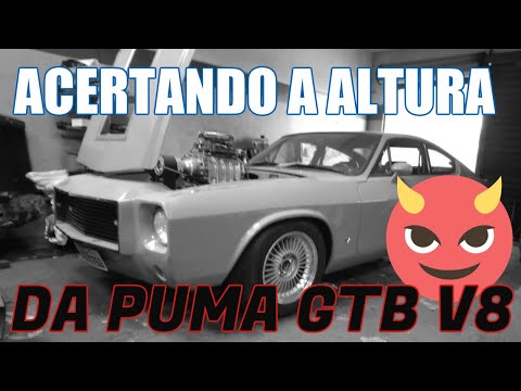 PUMA GTB COM CHEVROLET 350 V8 E BLOWER – QUAL A ALTURA IDEAL PARA SE ANDAR COM ESSE CARRO?